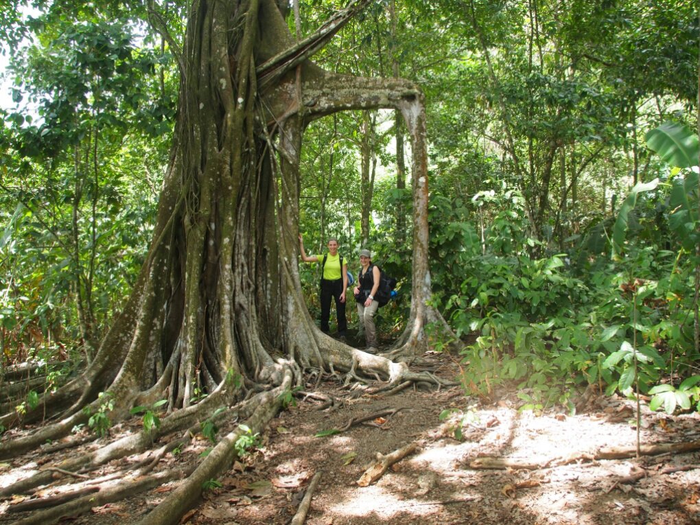 Regenwald Tour Mittelamerika