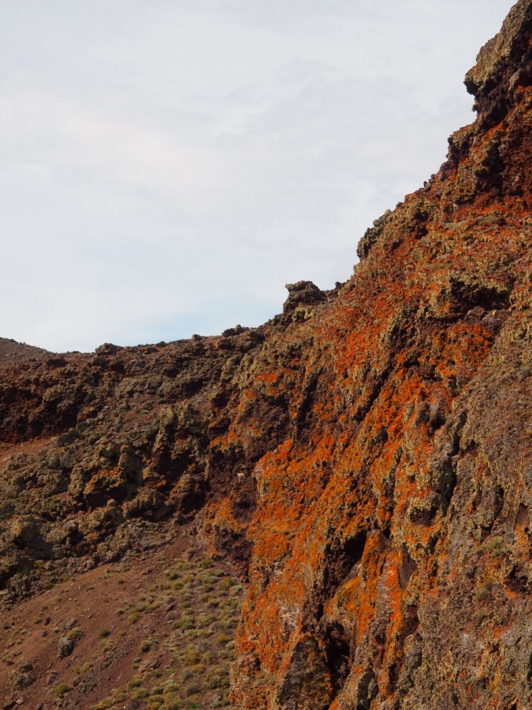 Nationalpark Pali Aike Weltreise 2014 I Mein ReiseblogWeltreise 2014