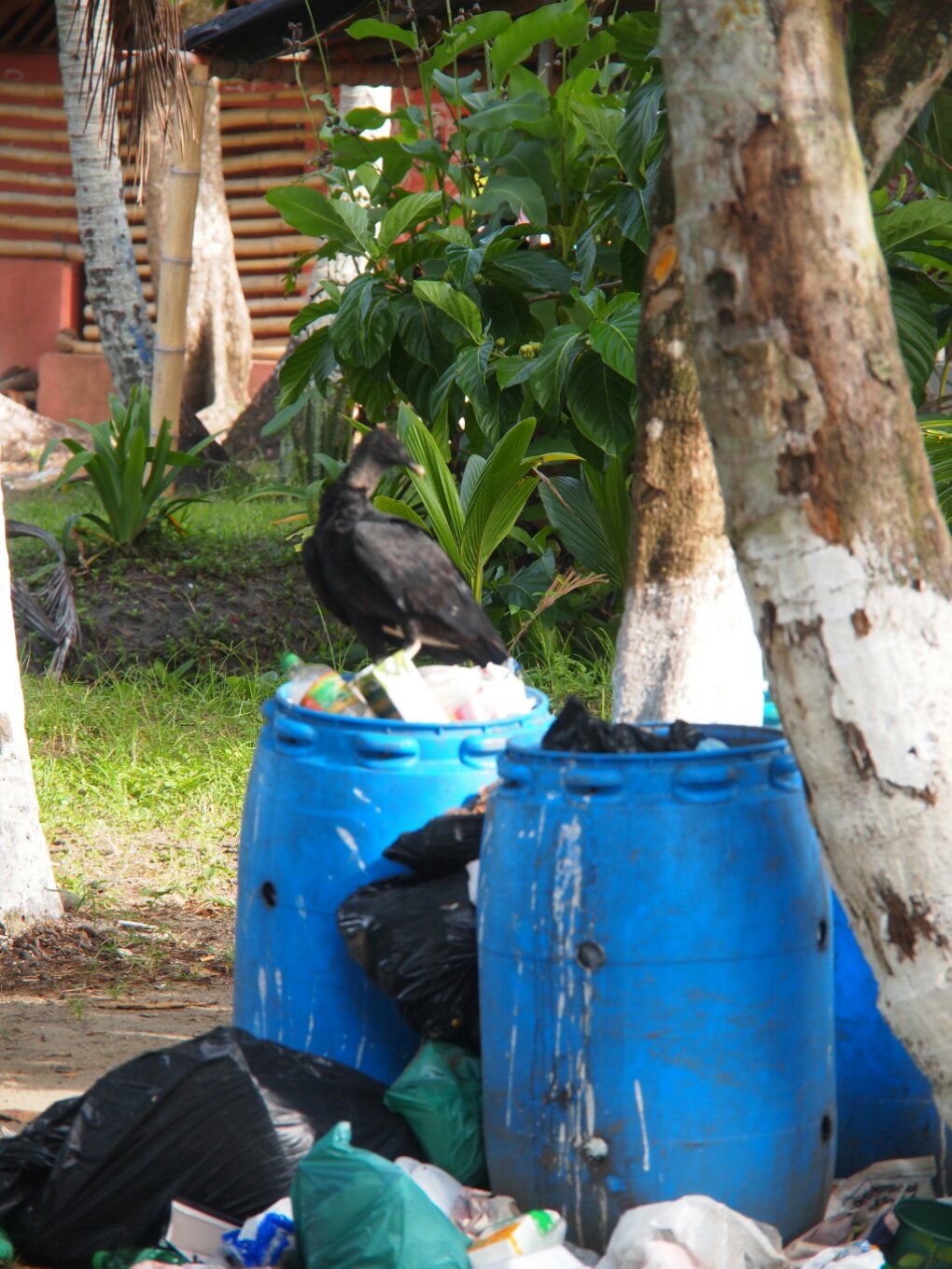 Müll-Karibik