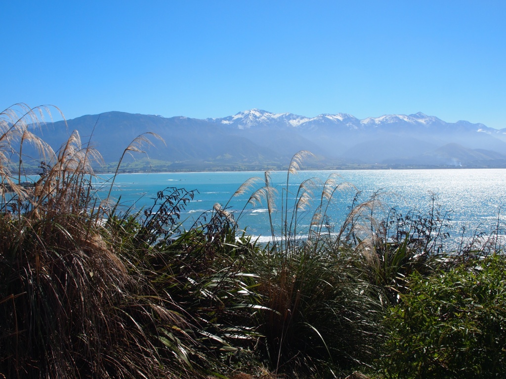Seawarx range New Zealand