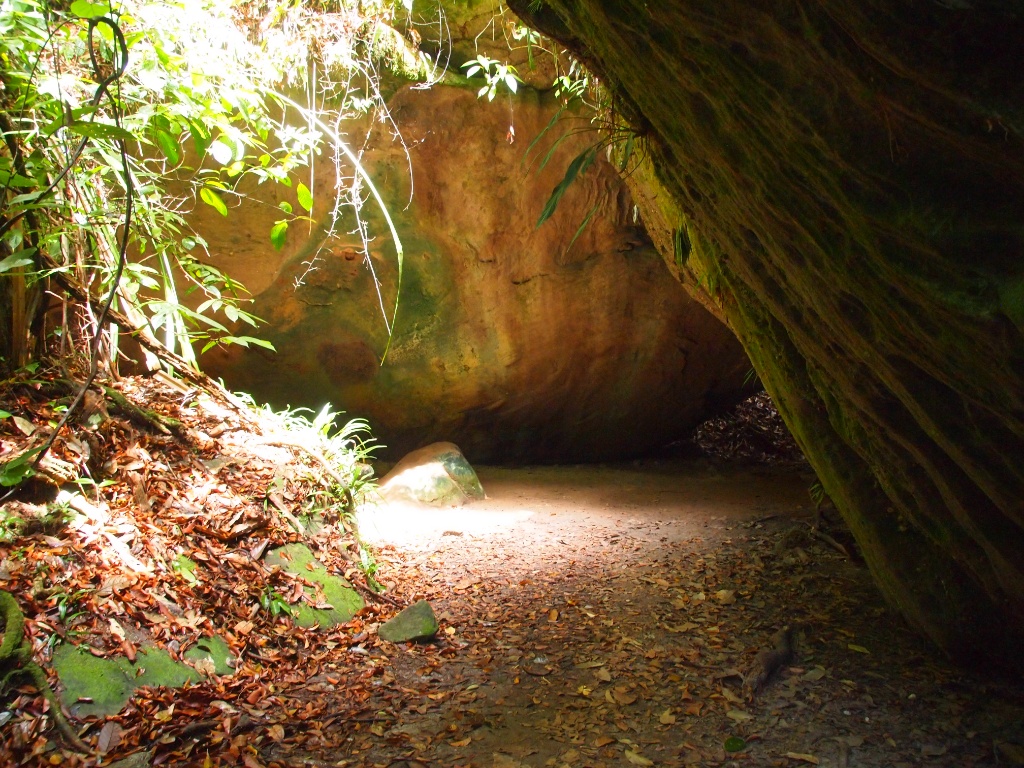 Regenwald höhle borneo