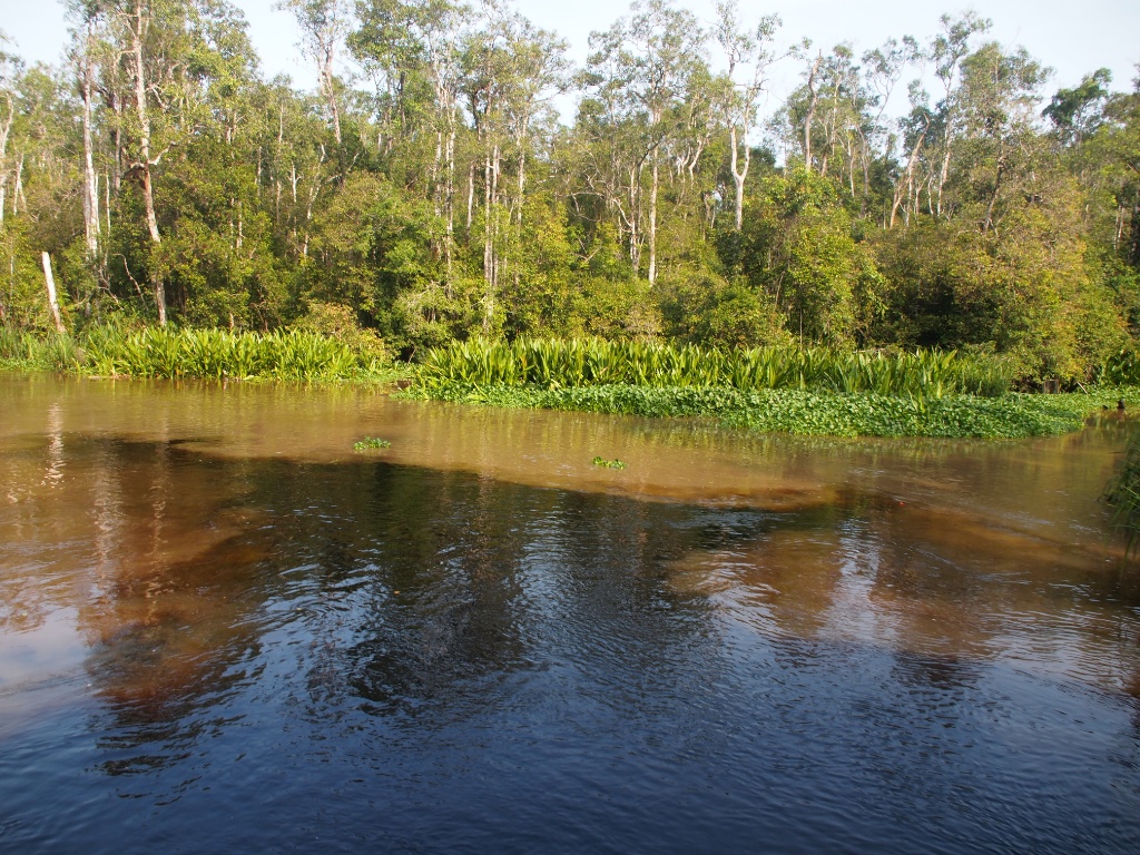 Verschmutzung Fluss Indonesien